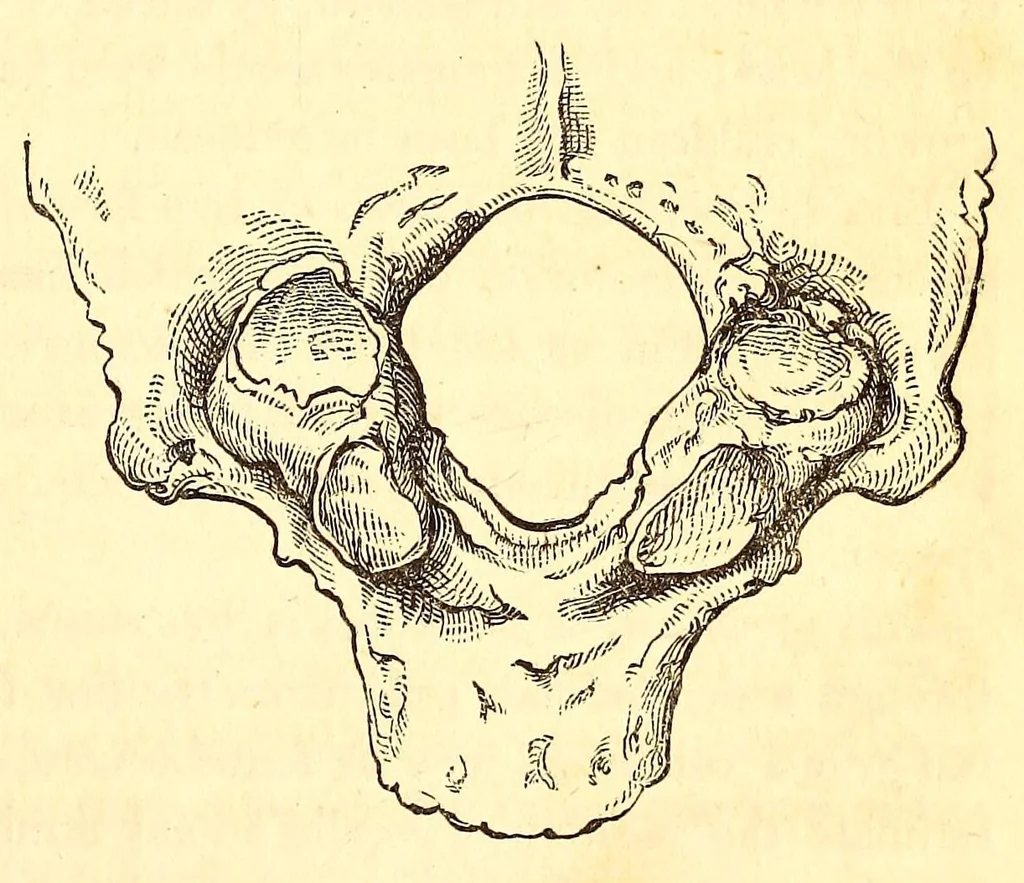 An illustration from The American journal of the medical sciences, 1827, leaf 87