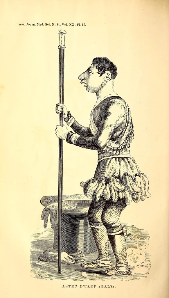 An illustration from The American journal of the medical sciences, 1827, leaf 296