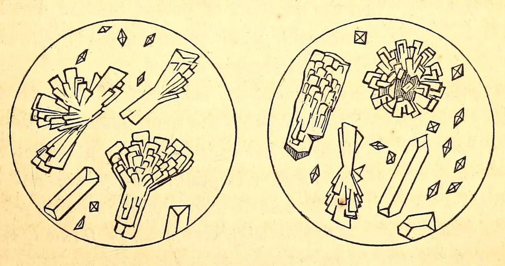 An illustration from The American journal of the medical sciences, 1827, leaf 383