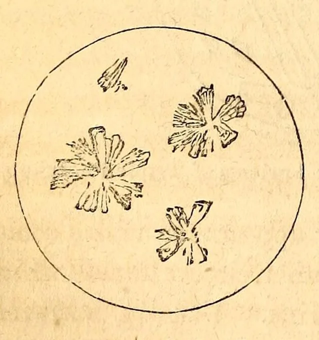 An illustration from The American journal of the medical sciences, 1827, leaf 384