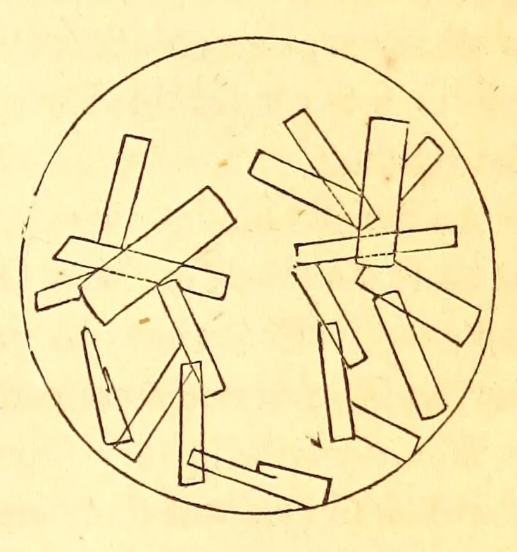An illustration from The American journal of the medical sciences, 1827, leaf 385