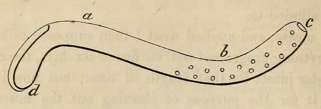An illustration from The American journal of the medical sciences, 1827, leaf 100