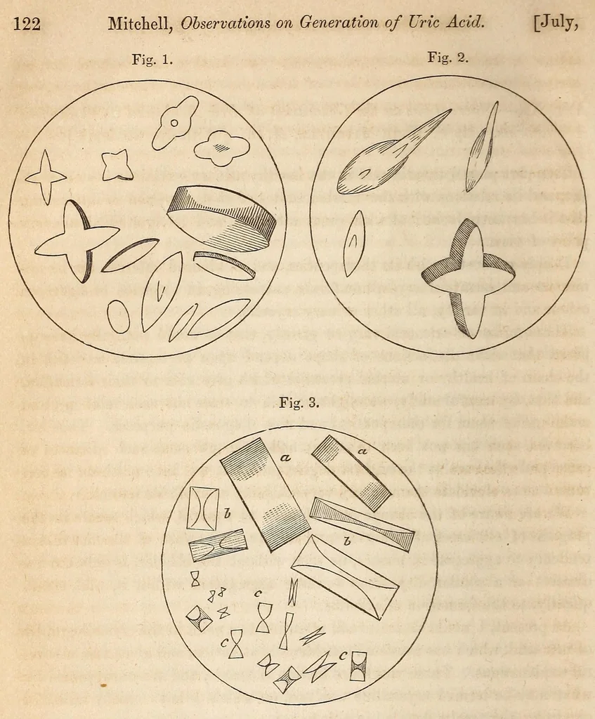 An illustration from The American journal of the medical sciences, 1827, leaf 128