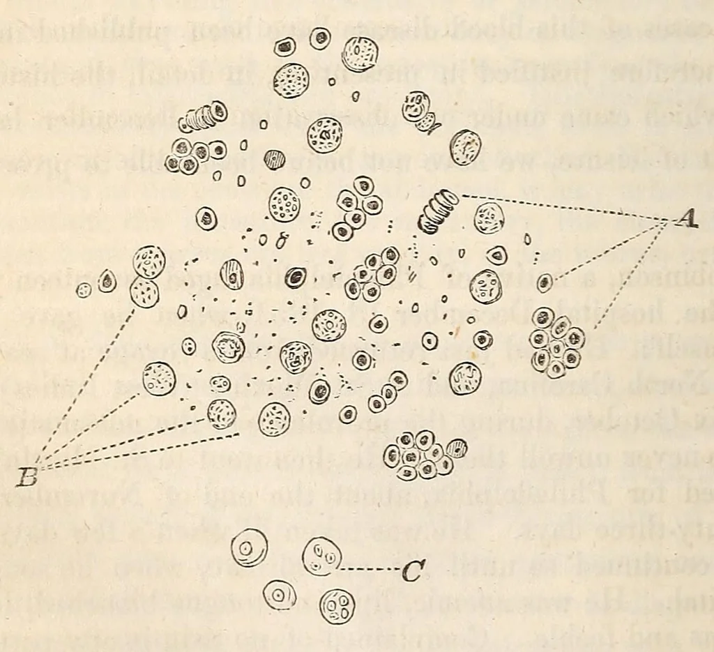 An illustration from The American journal of the medical sciences, 1827, leaf 372