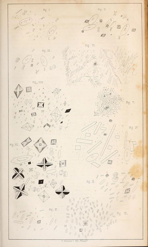 An illustration from The American journal of the medical sciences, 1827, leaf 575