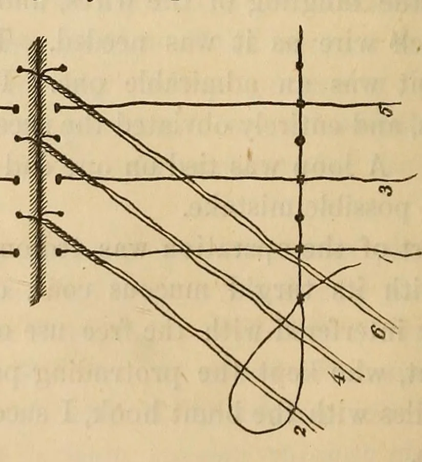 An illustration from The American journal of the medical sciences, 1827, leaf 76