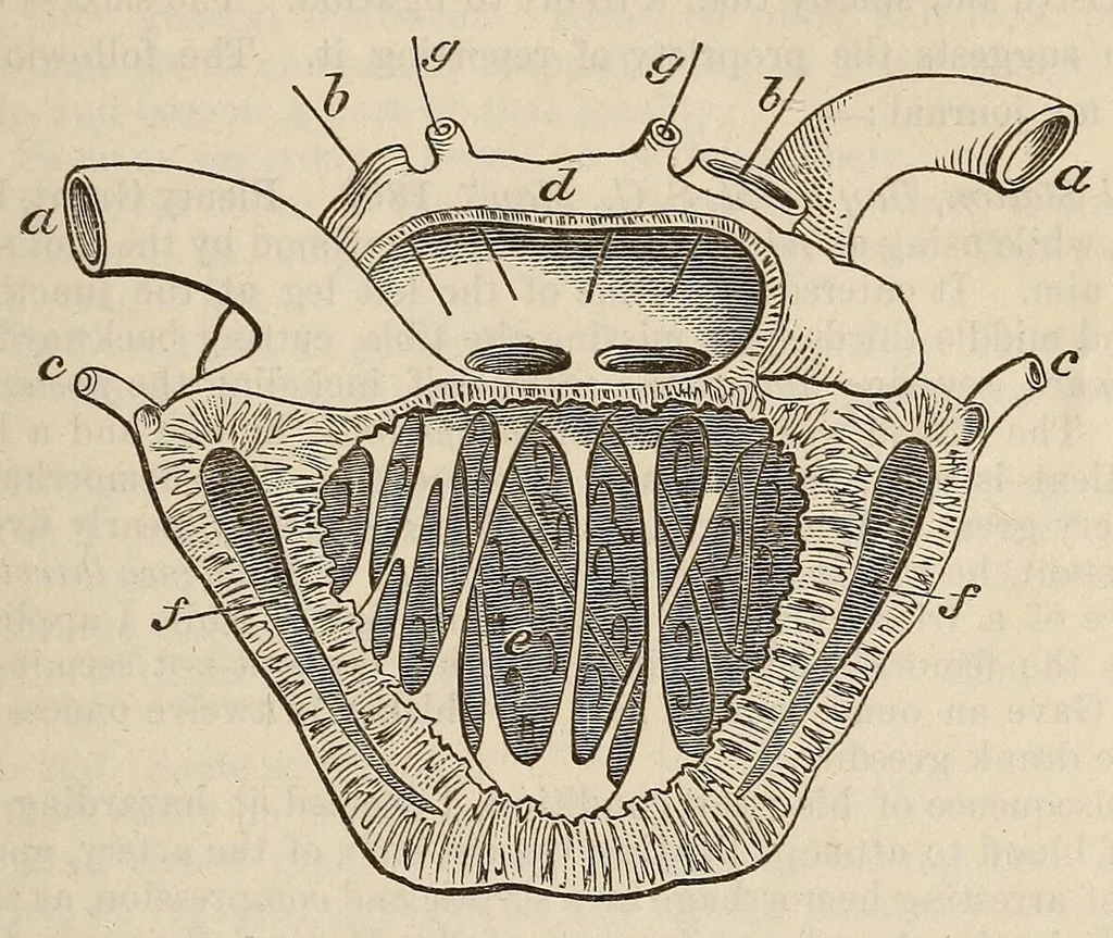 An illustration from The American journal of the medical sciences, 1827, leaf 403