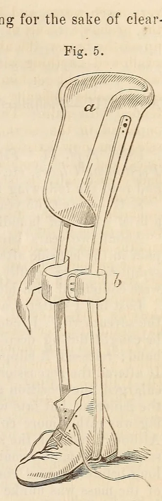 An illustration from The American journal of the medical sciences, 1827, leaf 433