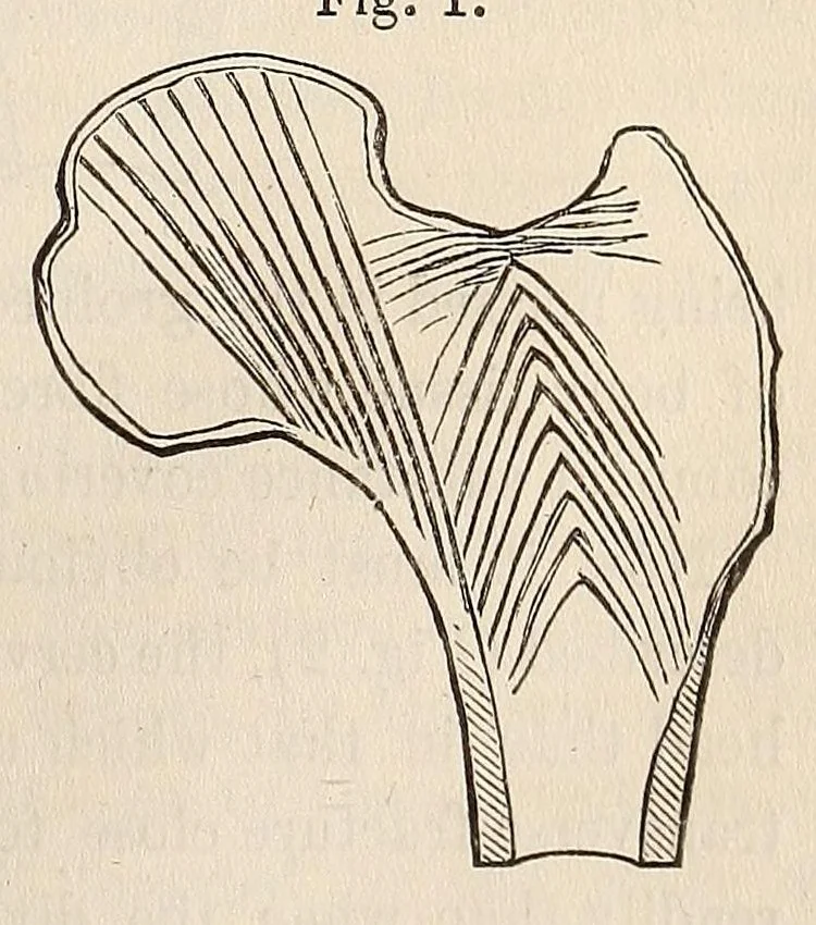 An illustration from The American journal of the medical sciences, 1827, leaf 381