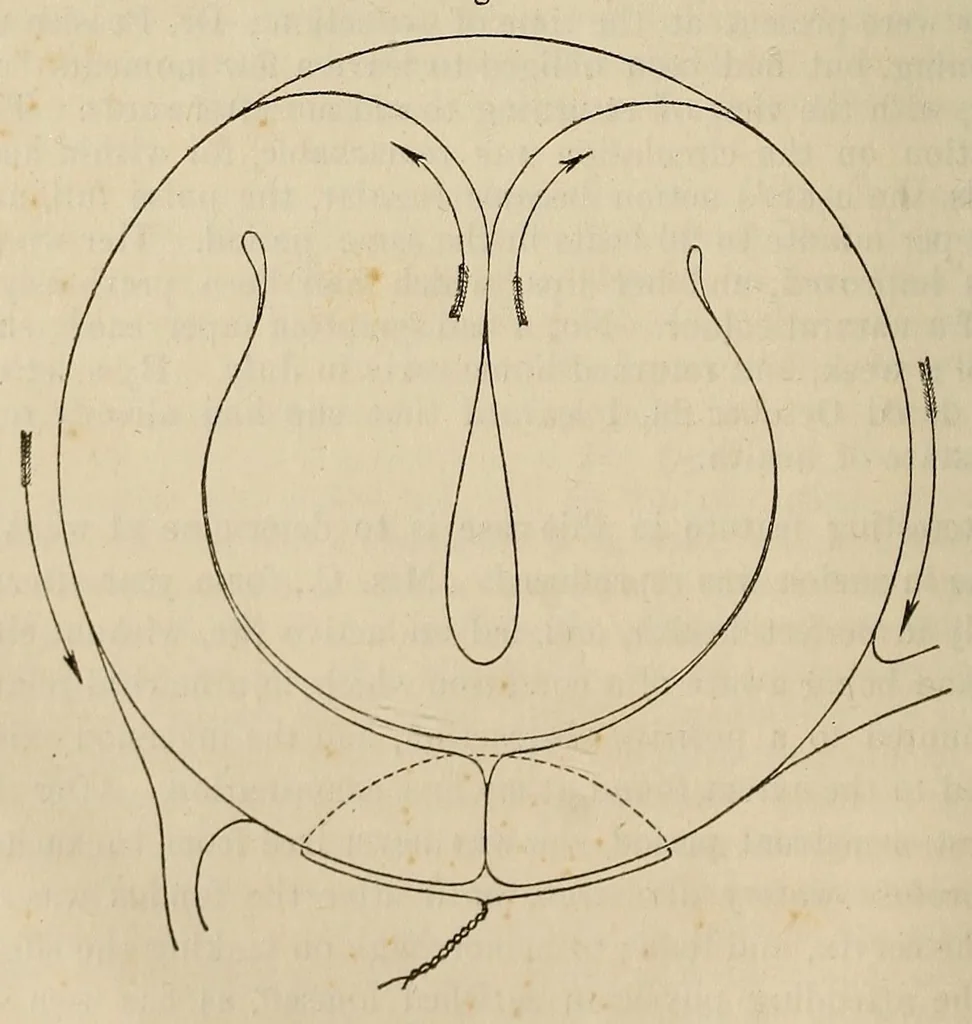 An illustration from The American journal of the medical sciences, 1827, leaf 96