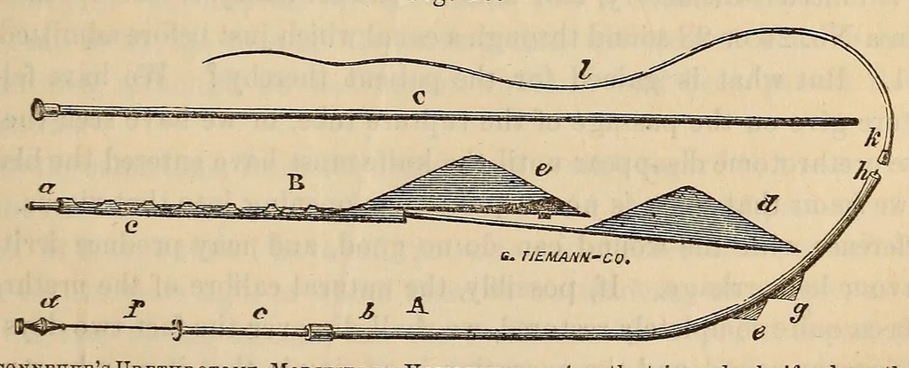 An illustration from The American journal of the medical sciences, 1827, leaf 329