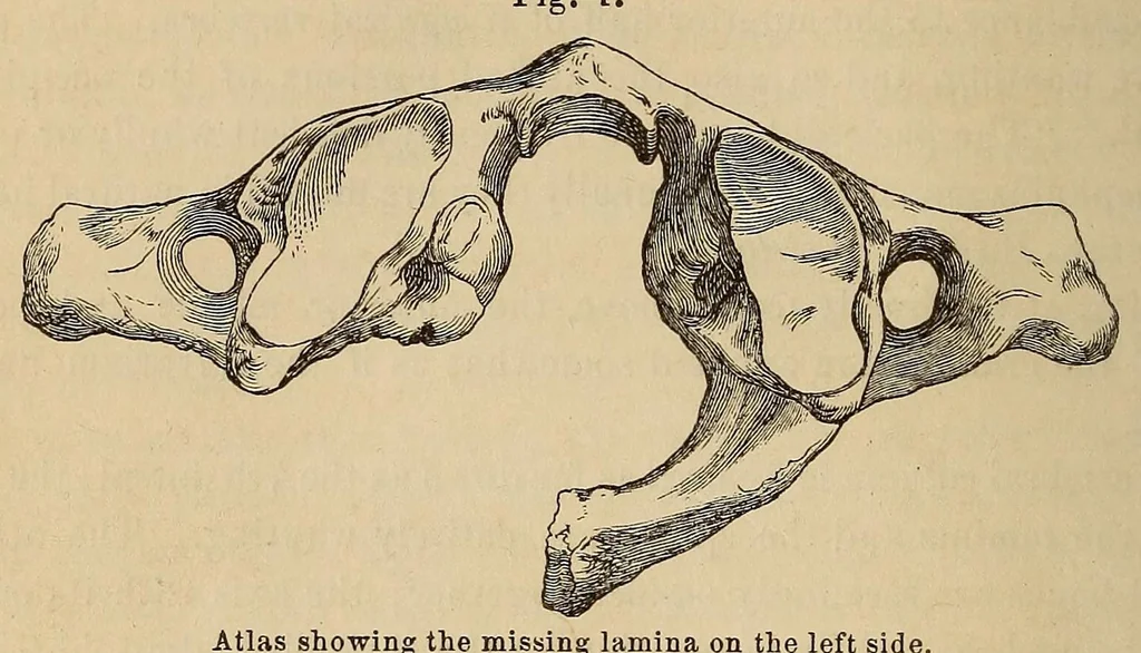 An illustration from The American journal of the medical sciences, 1827, leaf 100