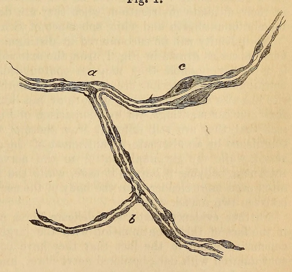 An illustration from The American journal of the medical sciences, 1827, leaf 393