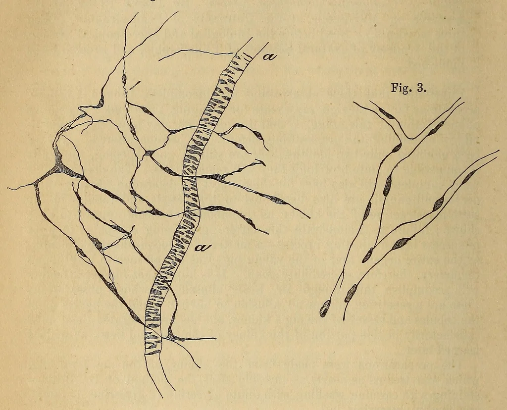 An illustration from The American journal of the medical sciences, 1827, leaf 394