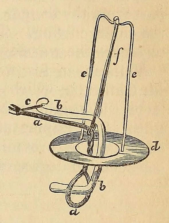 An illustration from The American journal of the medical sciences, 1827, leaf 413