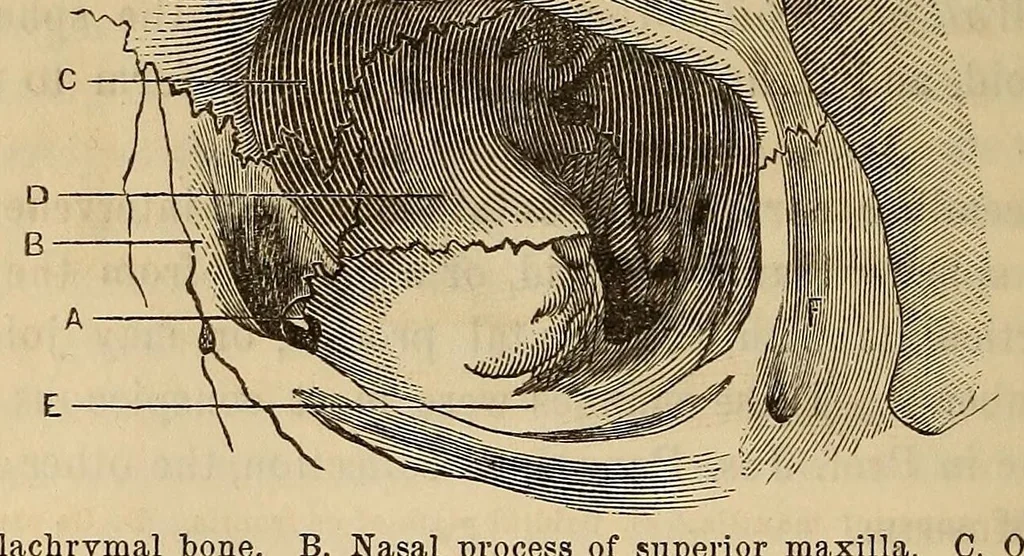 An illustration from The American journal of the medical sciences, 1827, leaf 122