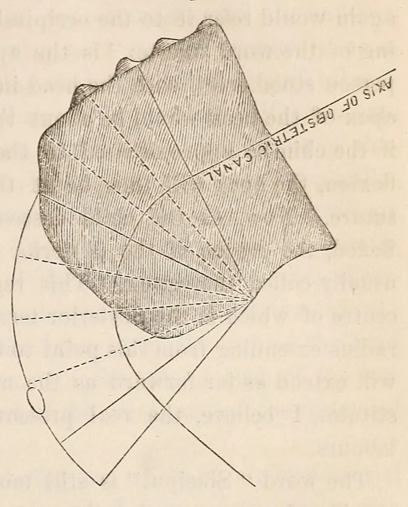 An illustration from The American journal of the medical sciences, 1827, leaf 325
