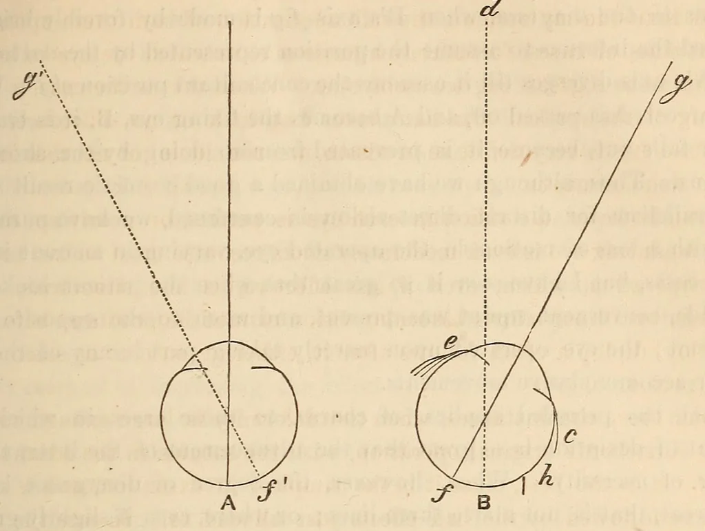 An illustration from The American journal of the medical sciences, 1827, leaf 331