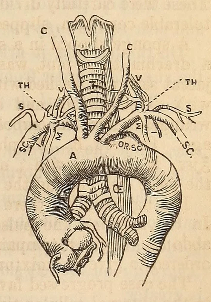 An illustration from The American journal of the medical sciences, 1827, leaf 399