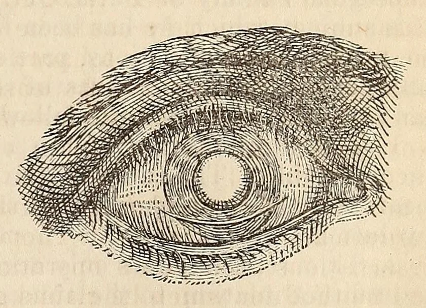 An illustration from The American journal of the medical sciences, 1827, leaf 275