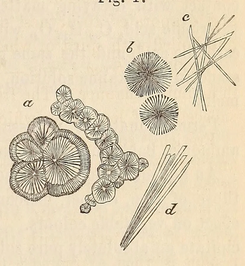 An illustration from The American journal of the medical sciences, 1827, leaf 73
