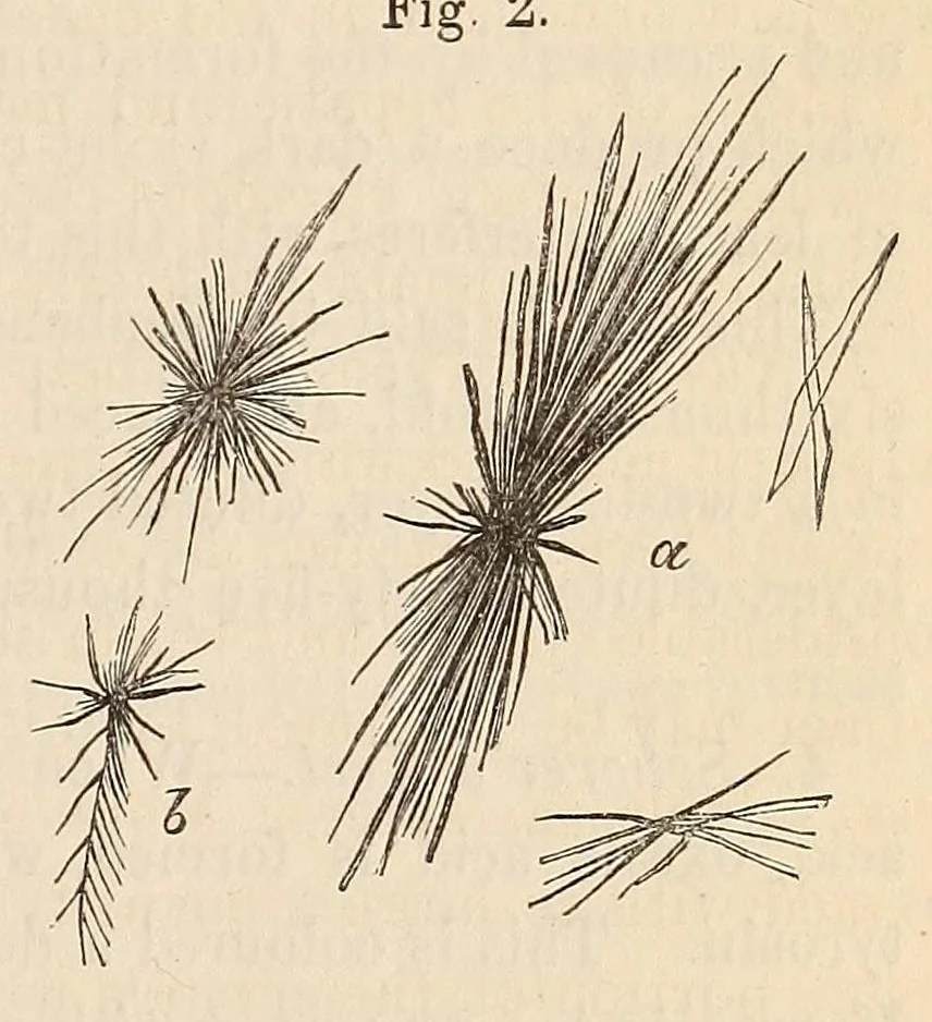 An illustration from The American journal of the medical sciences, 1827, leaf 77