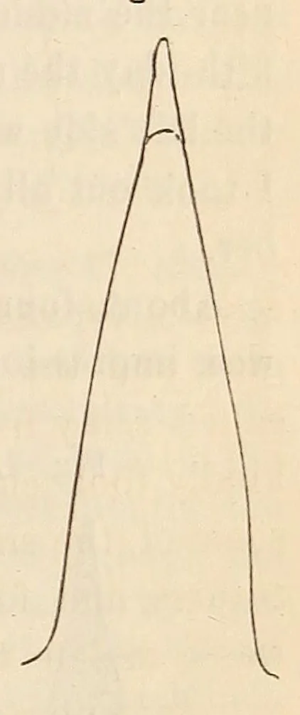 An illustration from The American journal of the medical sciences, 1827, leaf 81