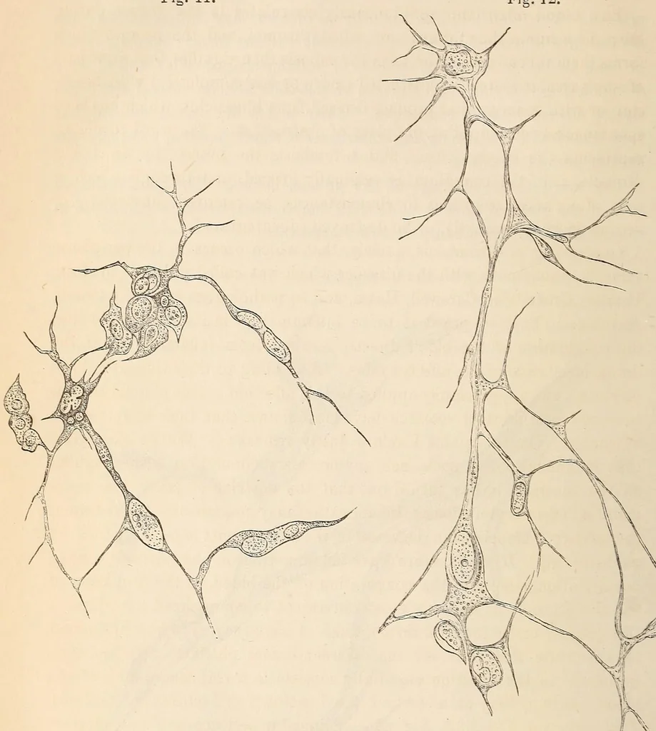 An illustration from The American journal of the medical sciences, 1827, leaf 324