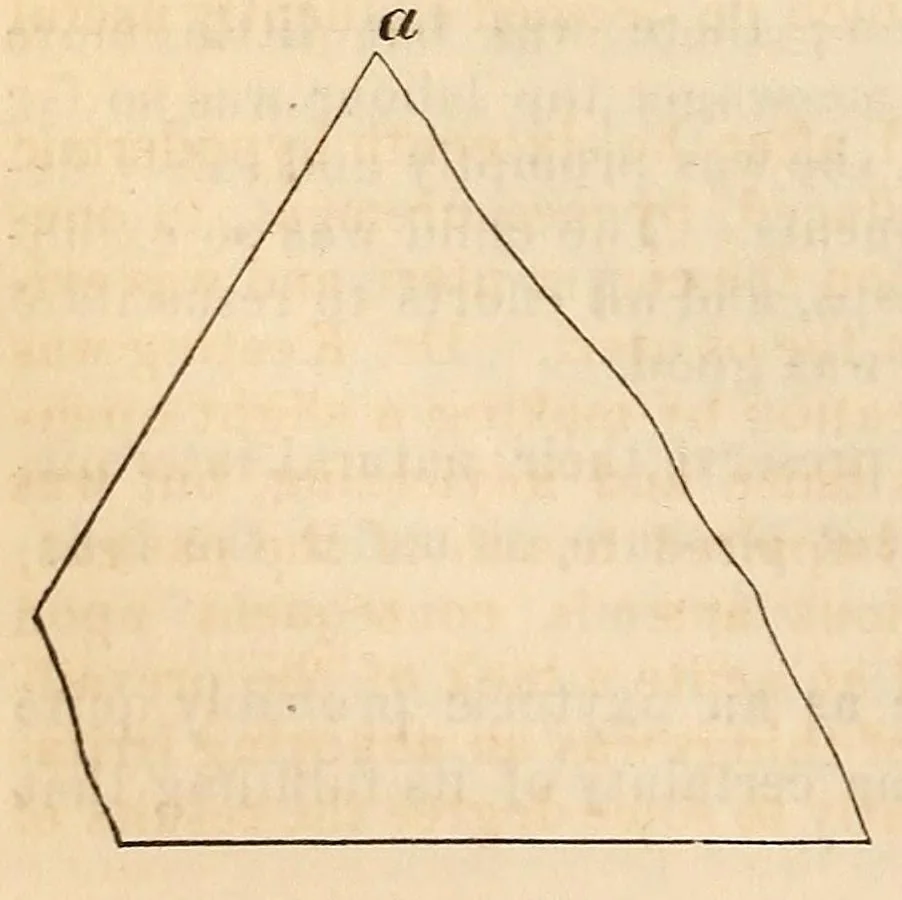 An illustration from The American journal of the medical sciences, 1827, leaf 136
