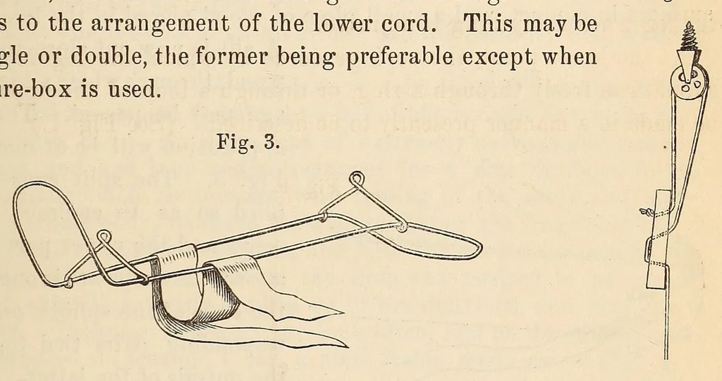An illustration from The American journal of the medical sciences, 1827, leaf 365