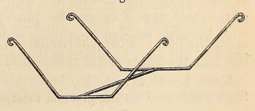 An illustration from The American journal of the medical sciences, 1827, leaf 365