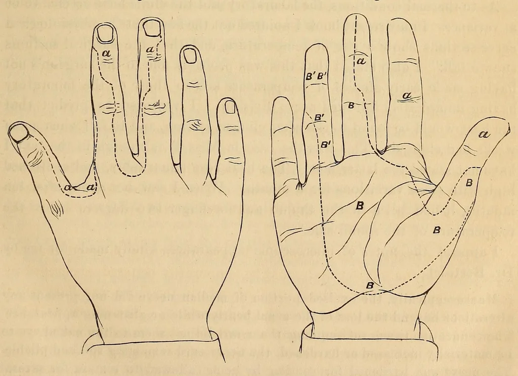 An illustration from The American journal of the medical sciences, 1827, leaf 27