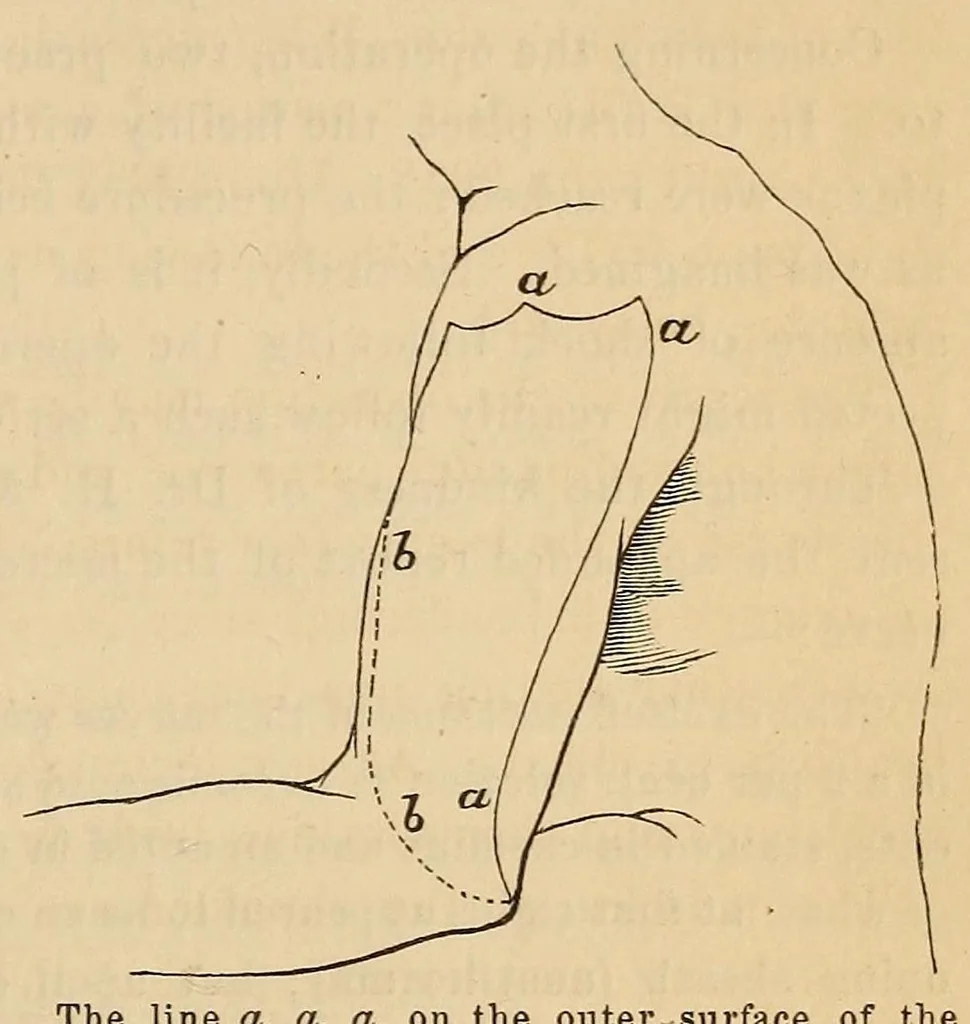 An illustration from The American journal of the medical sciences, 1827, leaf 37