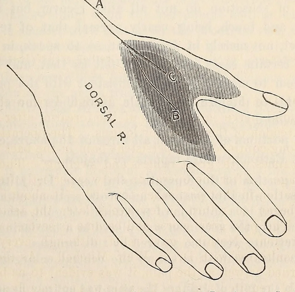An illustration from The American journal of the medical sciences, 1827, leaf 333