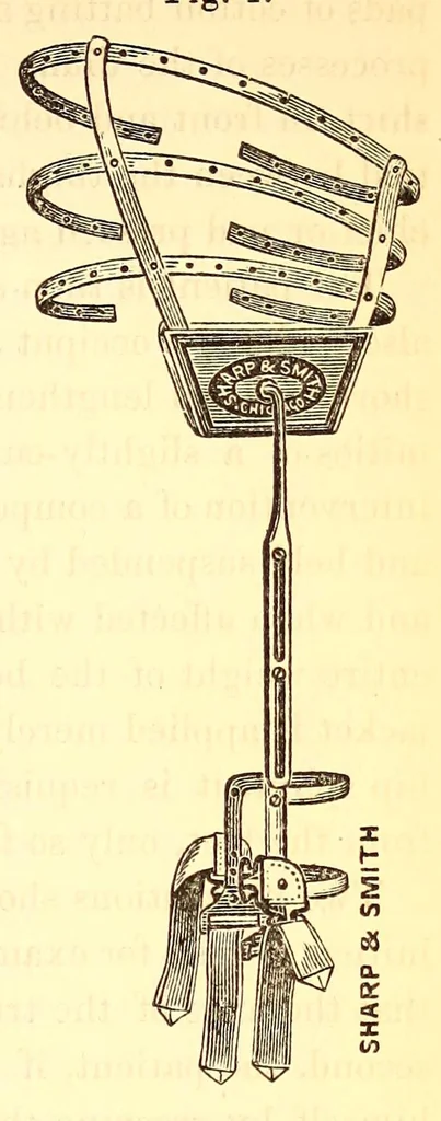 An illustration from The American journal of the medical sciences, 1827, leaf 129