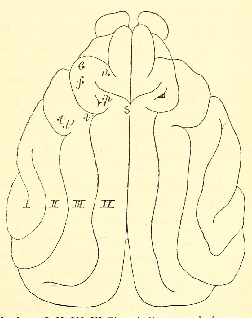 An illustration from The American journal of the medical sciences, 1827, leaf 381