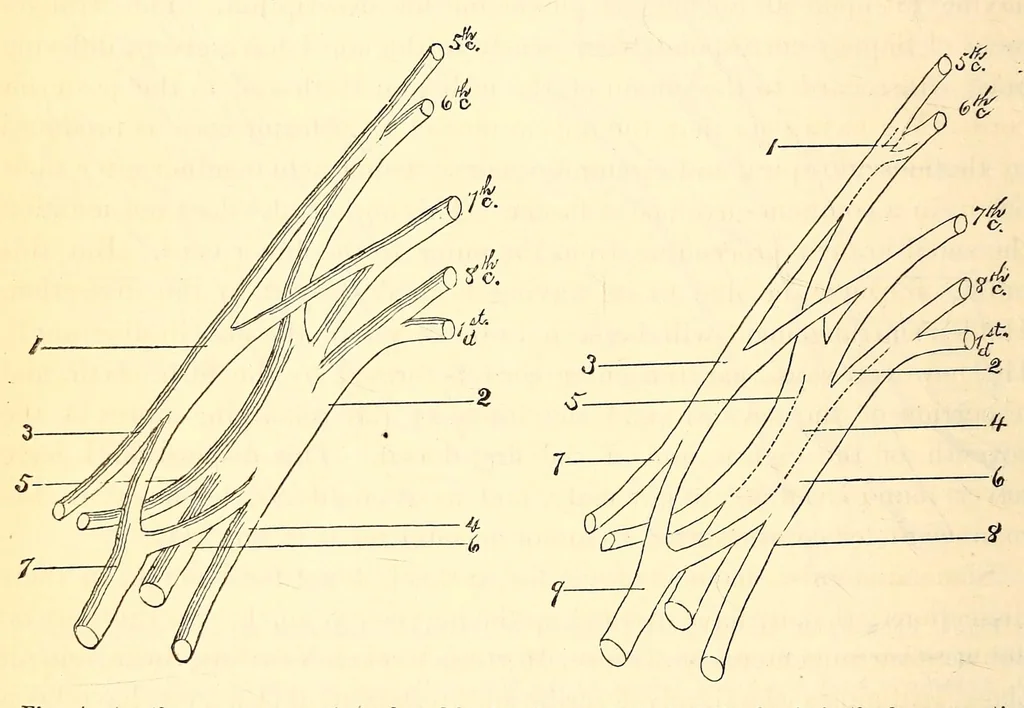 An illustration from The American journal of the medical sciences, 1827, leaf 402