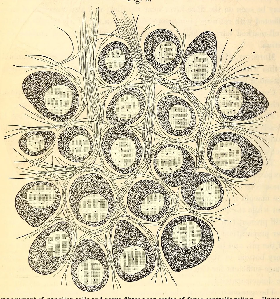 An illustration from The American journal of the medical sciences, 1827, leaf 412