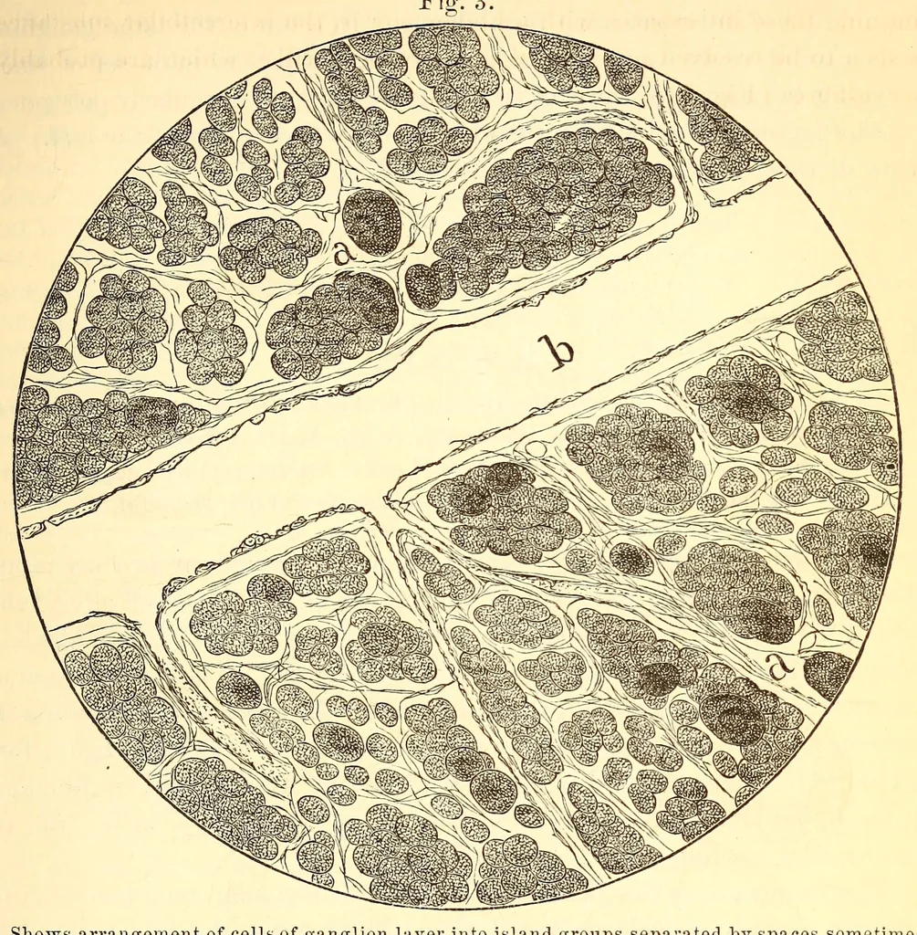 An illustration from The American journal of the medical sciences, 1827, leaf 413