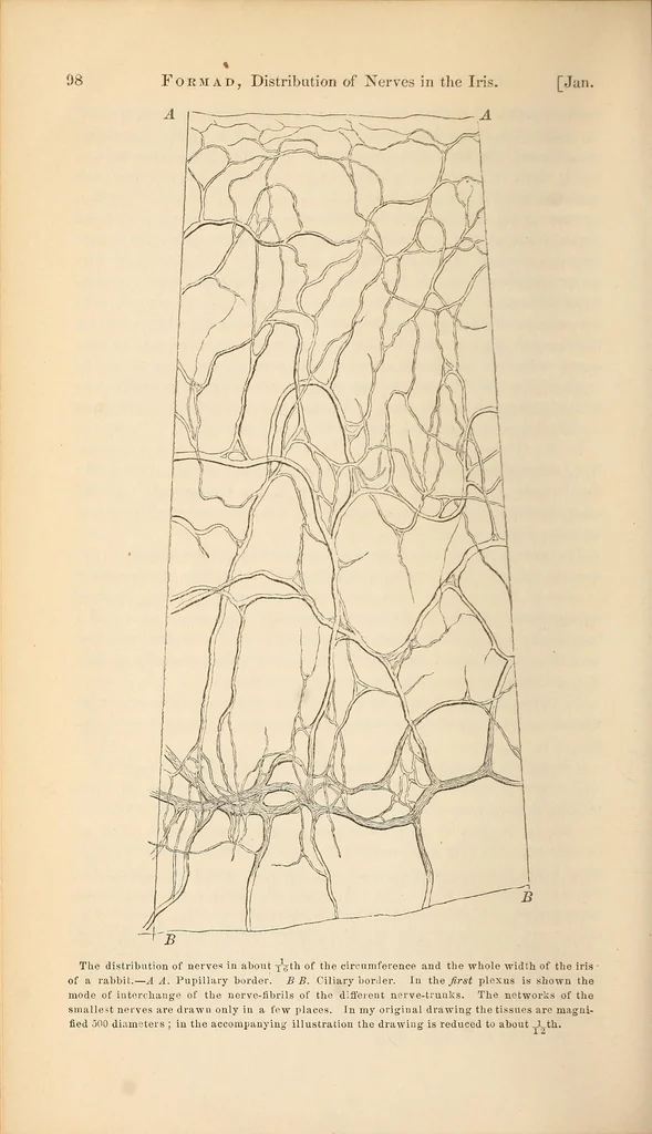 An illustration from The American journal of the medical sciences, 1827, leaf 102
