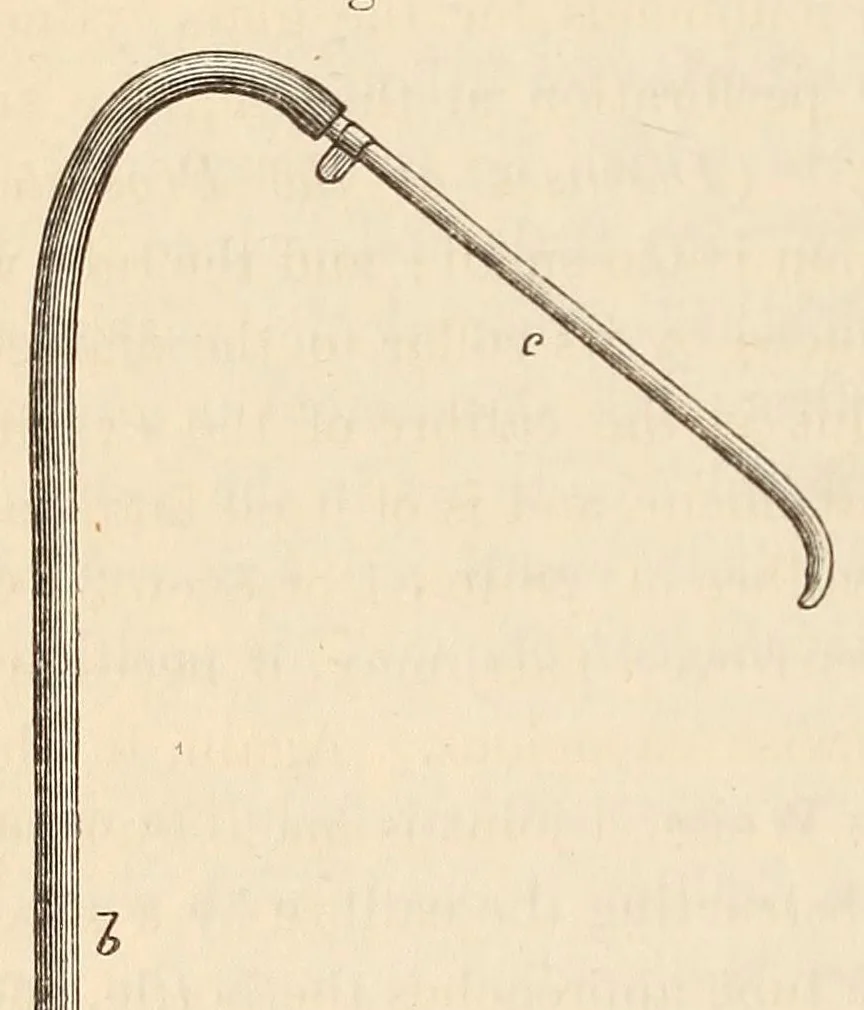 An illustration from The American journal of the medical sciences, 1827, leaf 126
