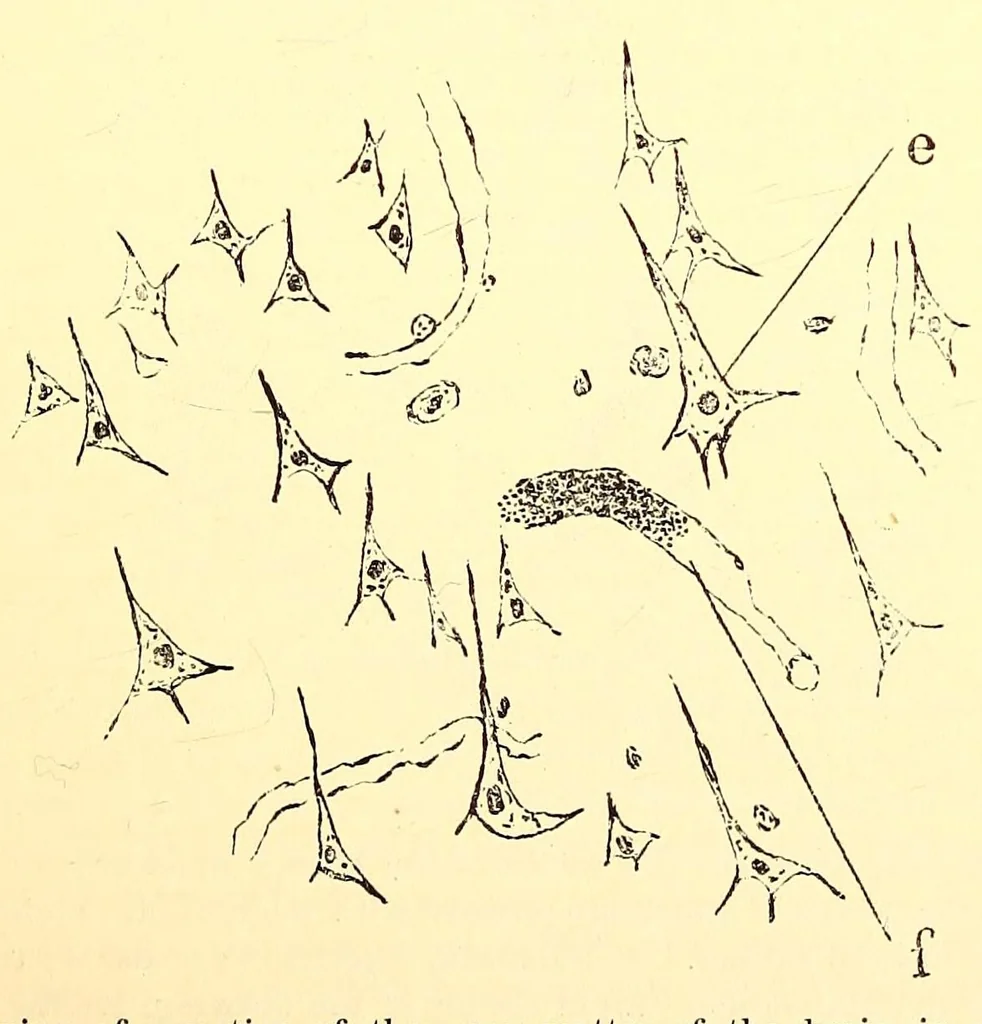 An illustration from The American journal of the medical sciences, 1827, leaf 37