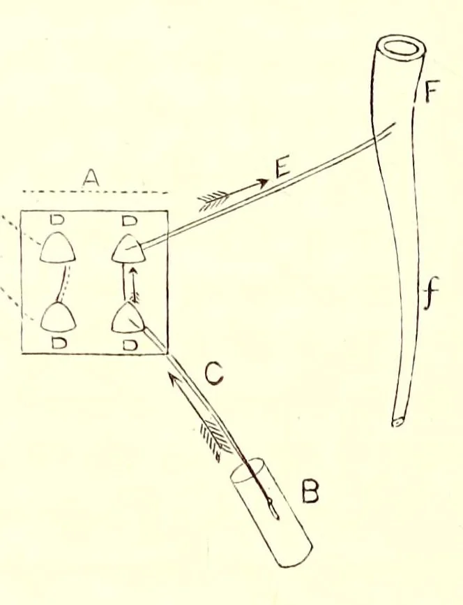 An illustration from The American journal of the medical sciences, 1827, leaf 394