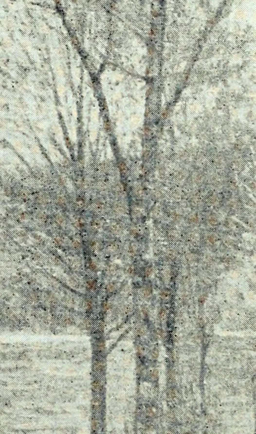 An illustration from American masters of painting : being brief appreciations of some American painters ; illustrated with examples of their work, 1918, leaf 213