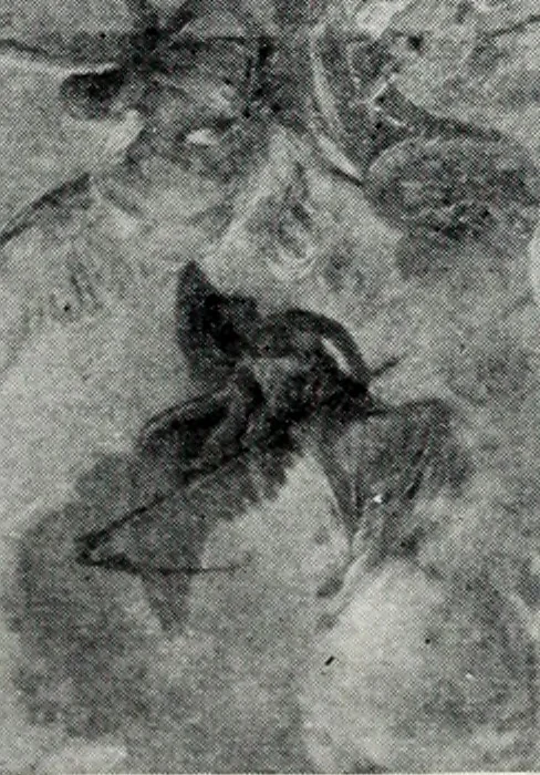 An illustration from American mural painting : a study of the important decorations by distinguished artists in the United States, 1902, leaf 128