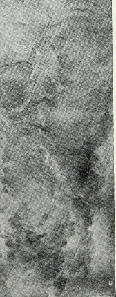 An illustration from American mural painting : a study of the important decorations by distinguished artists in the United States, 1902, leaf 128