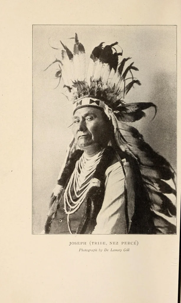 An illustration from The American nation:, 1904, leaf 14