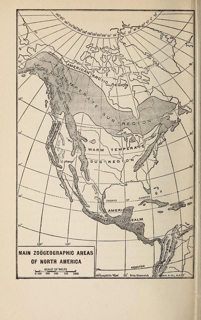 An illustration from The American nation:, 1904, leaf 88