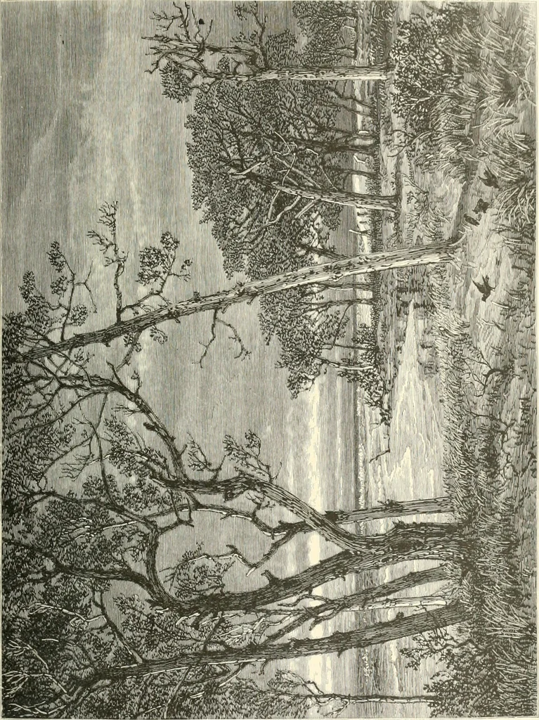 An illustration from American painters: with eighty-three examples of their work engraved on wood, 1879, leaf 118