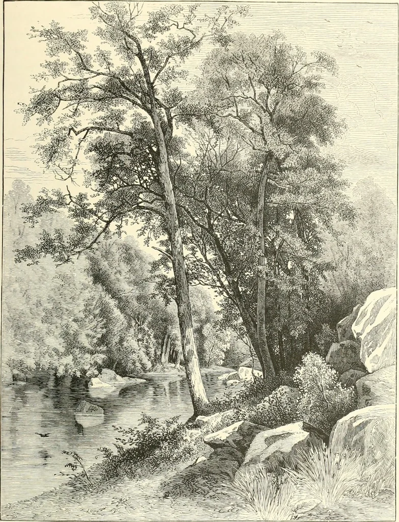 An illustration from American painters: with eighty-three examples of their work engraved on wood, 1879, leaf 122